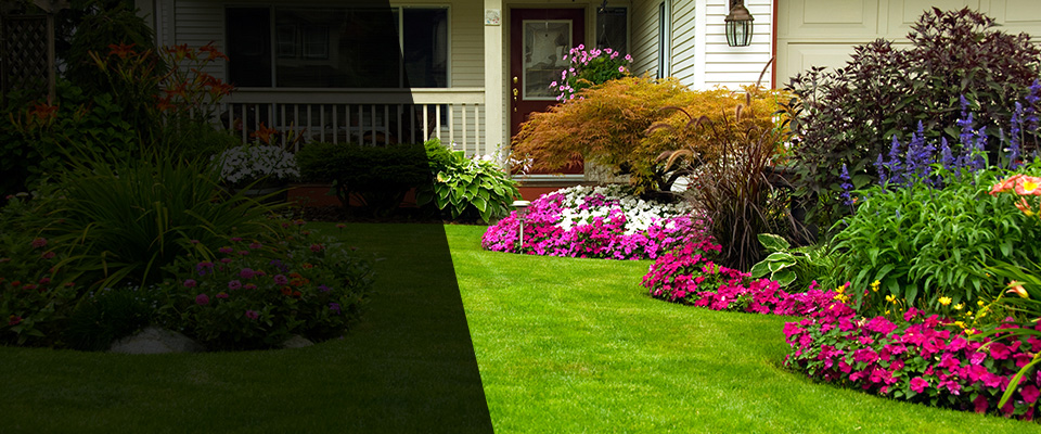 Hardy Landscapers