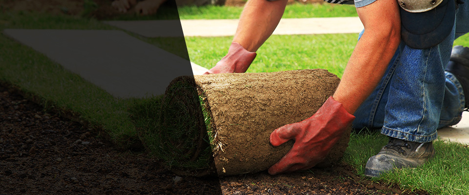 Hardy Landscapers